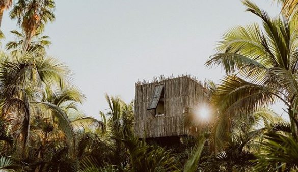 Les 13 hôtels dans les arbres les plus spectaculaires au monde