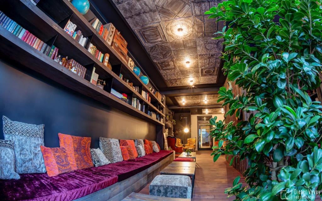 auberge-jeunesse-cube-hostel-louvain-belgique