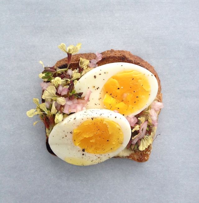 crostini-oeuf-fleur-roquette-recette