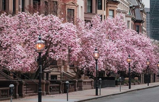 The top 12 things to do in Boston, the city of Champions