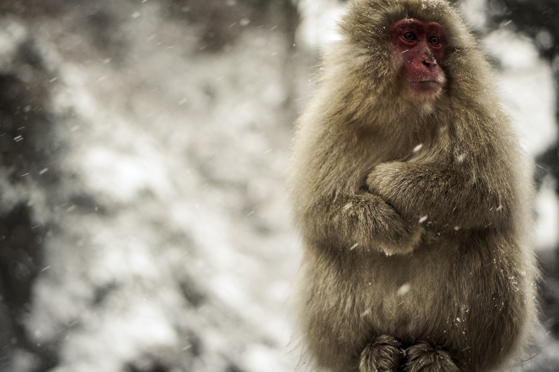 15 idées de rendez-vous parfaites pour vous et votre date durant la saison hivernale