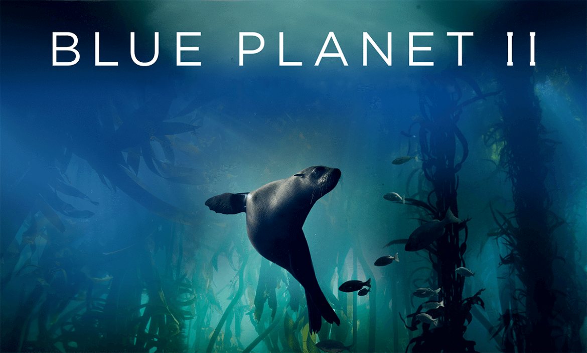 Blue Planet II arrive enfin sur Netflix en décembre 2018