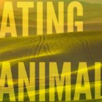 Netflix Canada: New releases available in December 2018