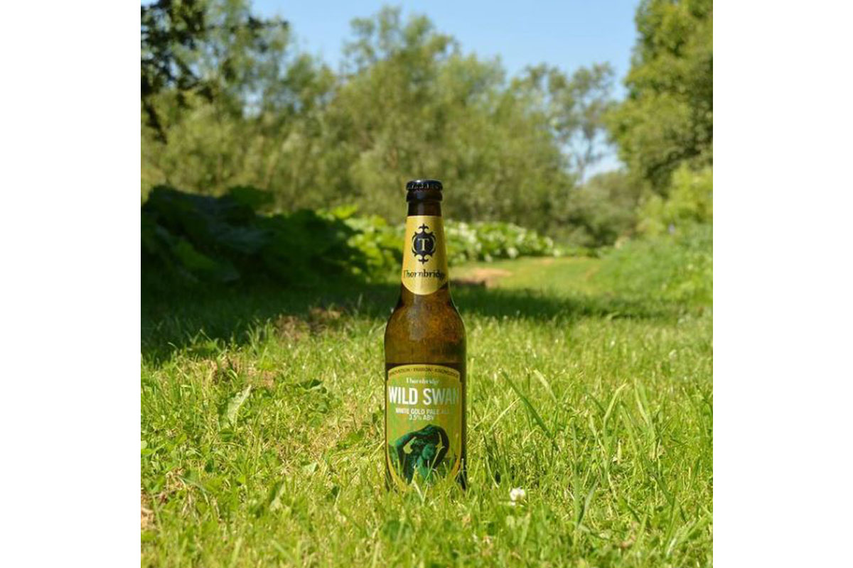 beer