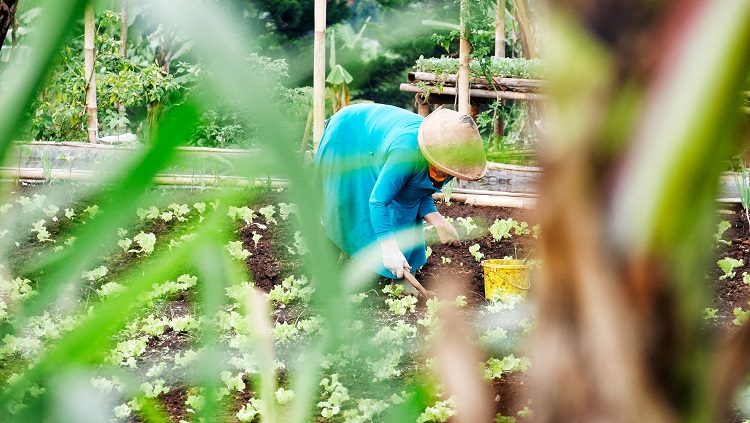Gaspillage alimentaire: 10 astuces pour mieux consommer et réduire son empreinte écologique