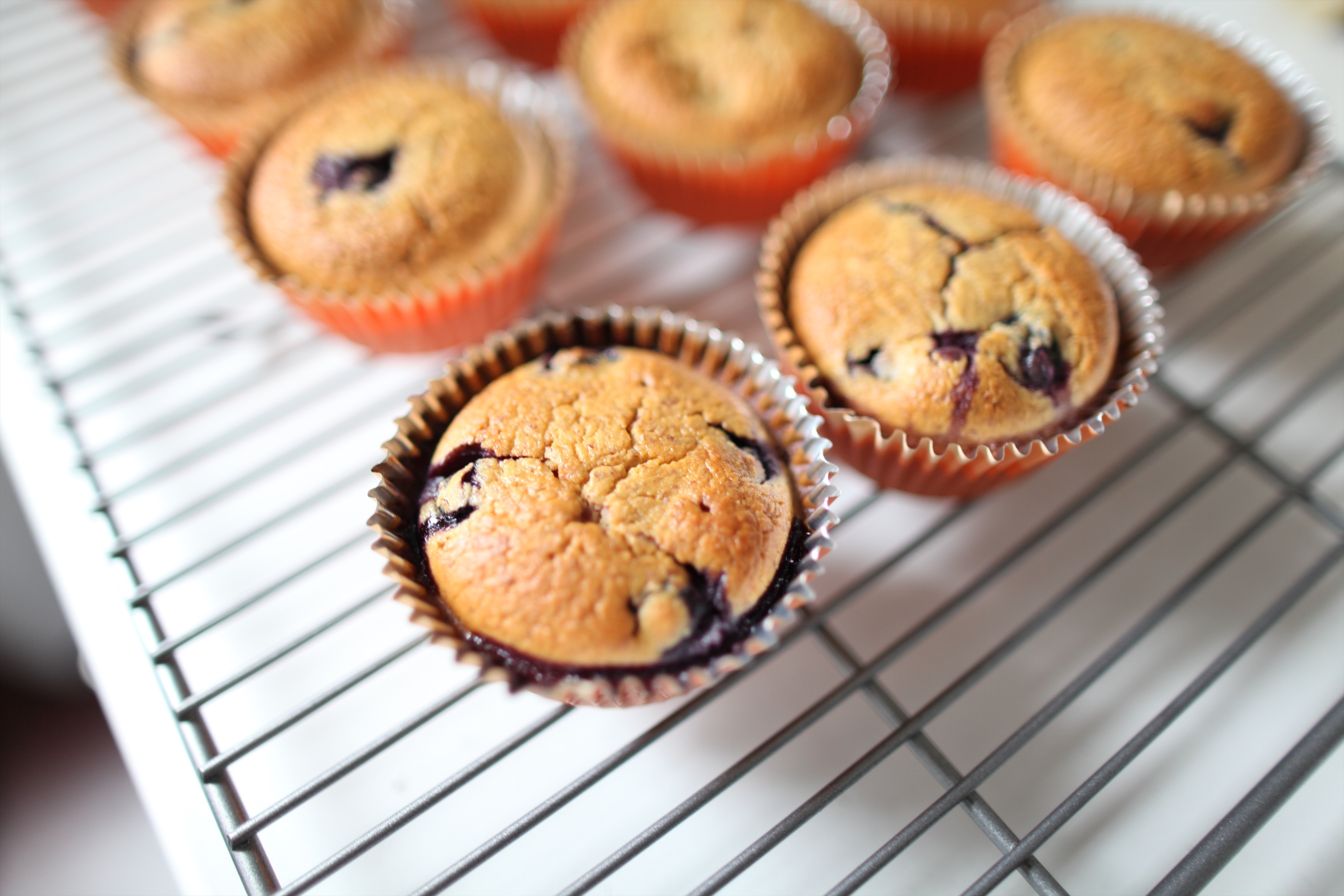 Gaspillage alimentaire: 10 astuces pour mieux consommer et réduire son empreinte écologique