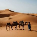 Morocco travel guide: Explore this dazzling African country