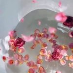 Rose water benefits: From soothing skin to flavourful dessert