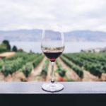 Vin biologique: 3 choses essentielles à savoir sur cette boisson alcoolisée