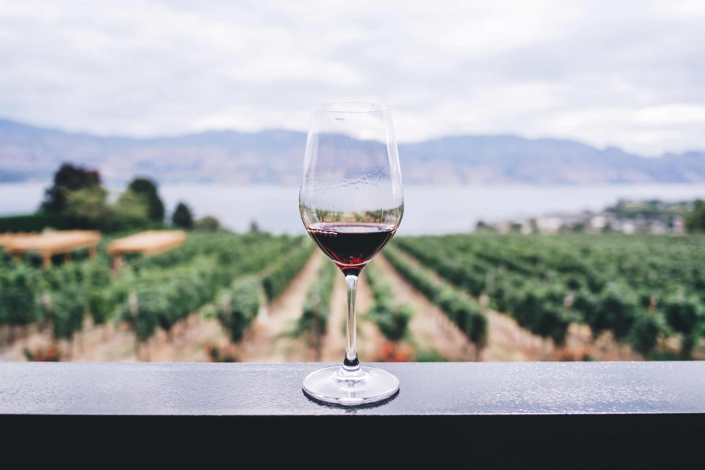 Coupe de vin
