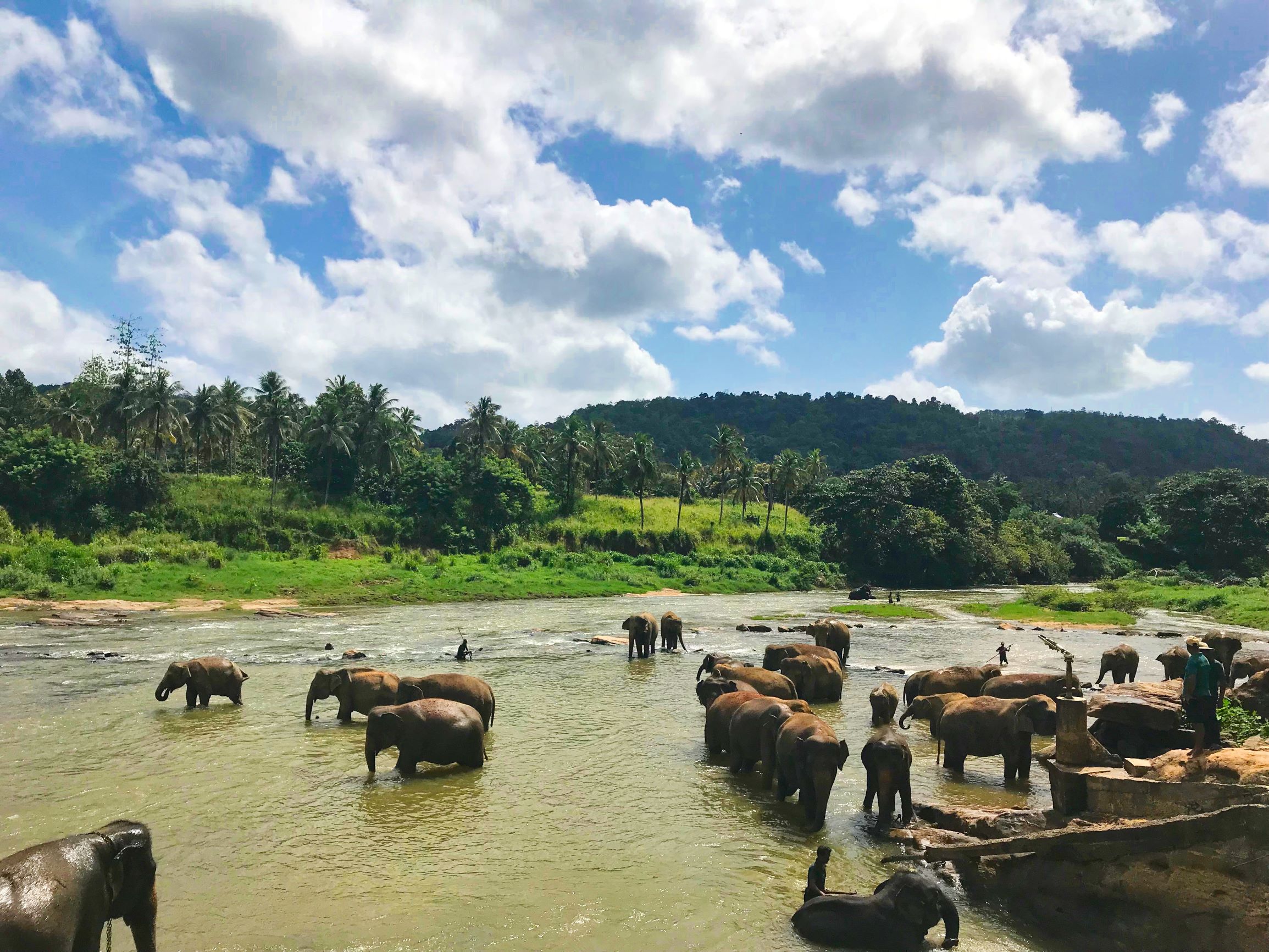 Sri Lanka: guide de voyage pour le touriste aventurier