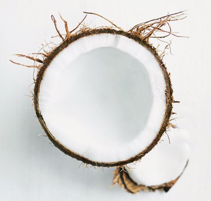 coconut
