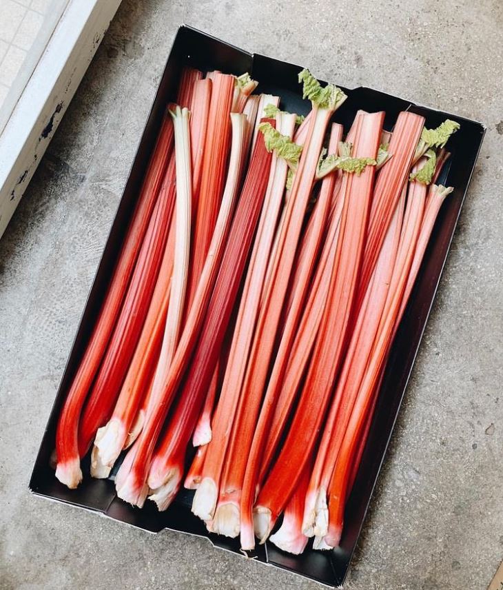 rhubarb
