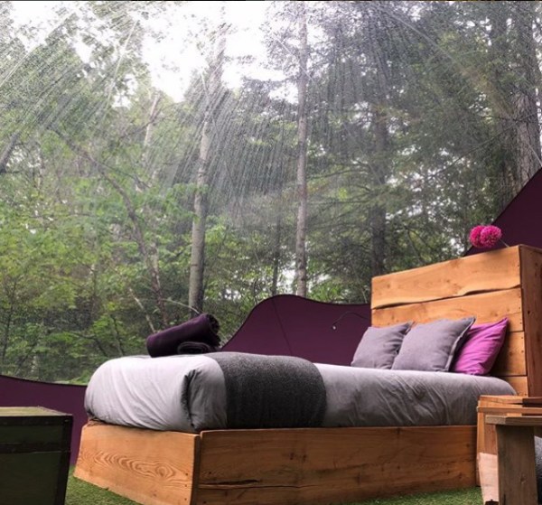 Un lit protégé par une bulle dans la forêt
