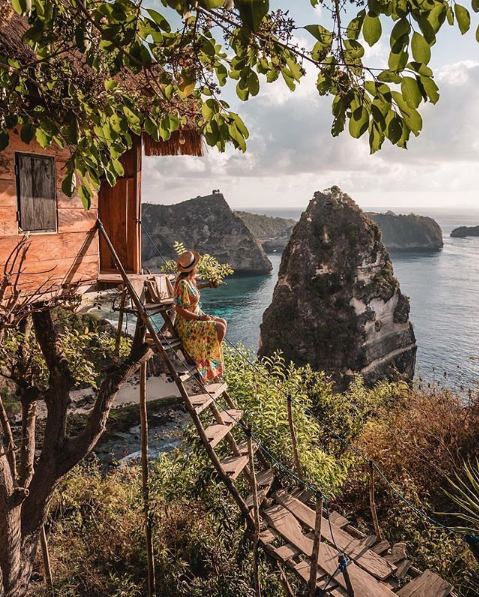 maison dans un arbre avec vue incroyable