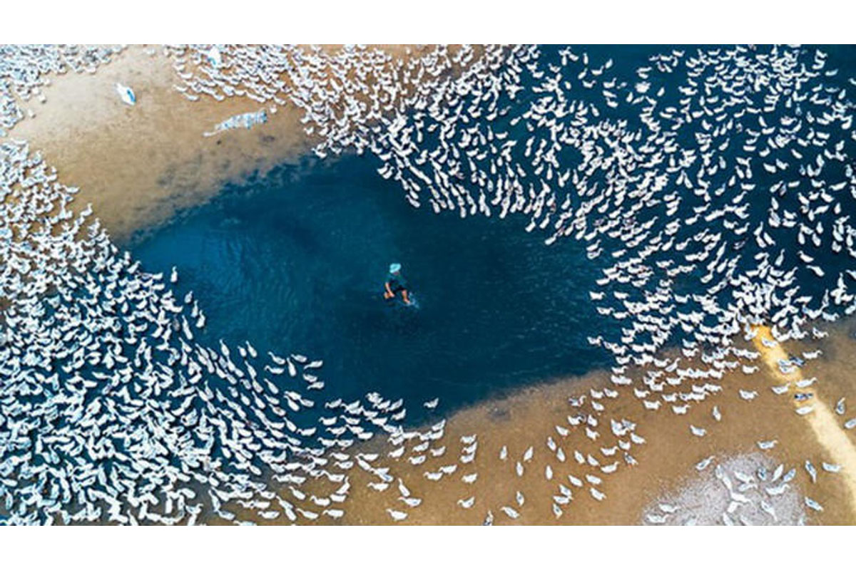 unbelievable-drone-photos-betterbe