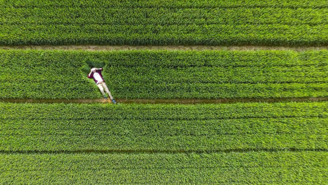 Les Plus impressionnantes photos jamais prises par un drone