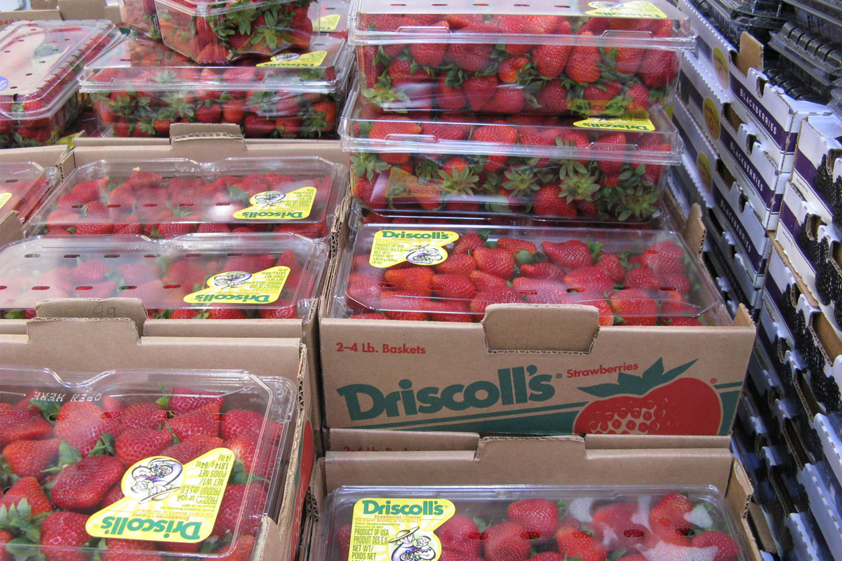 The Worst Bargains At Costco