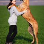 Here is The Top 20 Most Loyal Dog Breeds You Can Find