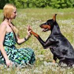 Here is The Top 20 Most Loyal Dog Breeds You Can Find