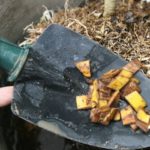 36 Incredibly Useful Garden Tips That Actually Work!