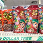 Dollar Stores: The Best And The Worst Bargains!