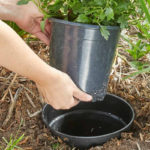 Incredibly Useful Garden Tips That Actually Work!