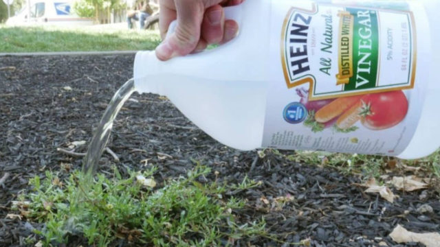 The Best Home Hacks You Always Wanted To Know