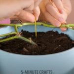 Incredibly Useful Garden Tips That Actually Work!