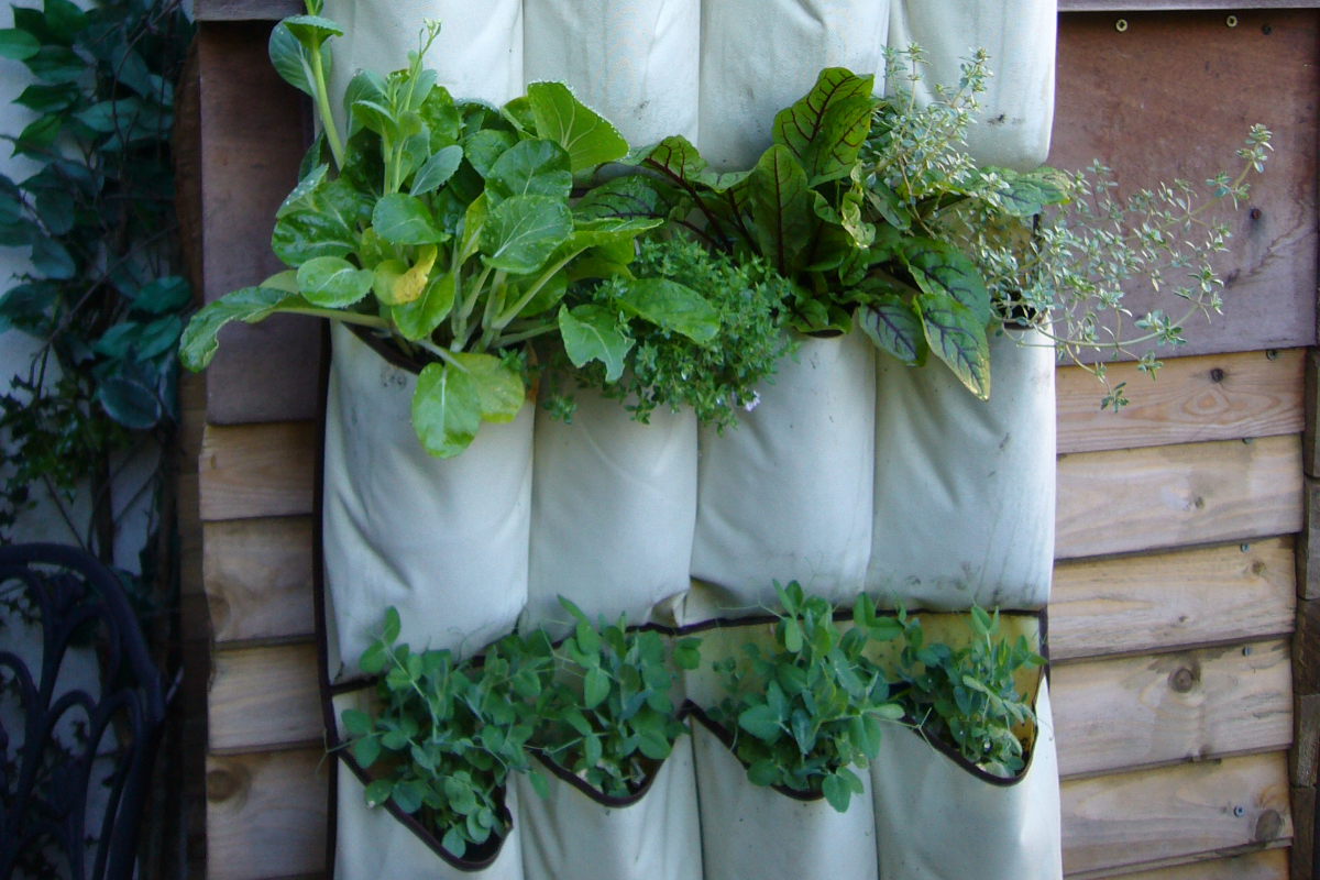 Vertical Herb Garden With Shoe Organizer