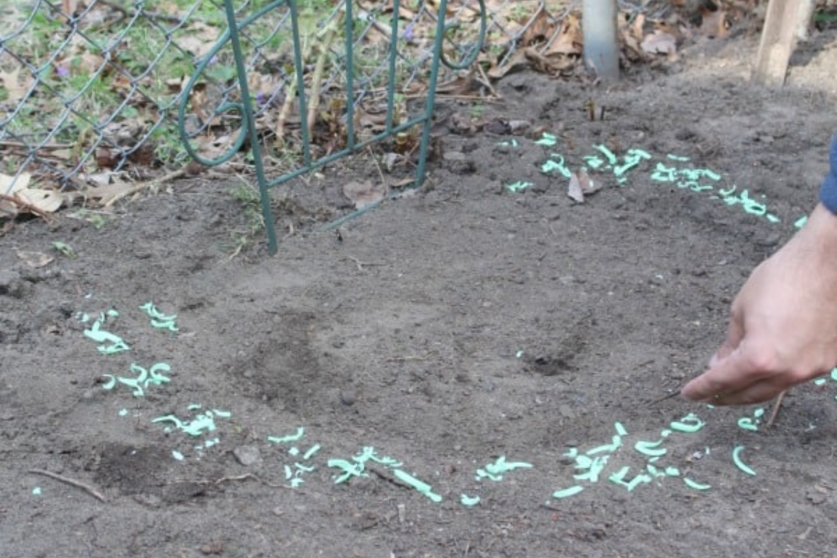 Soap Scattered In Garden