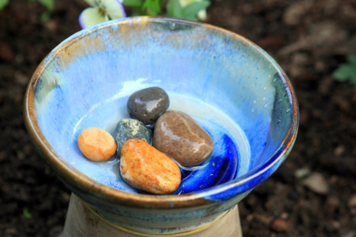 Small Dish with Water and Rocks 