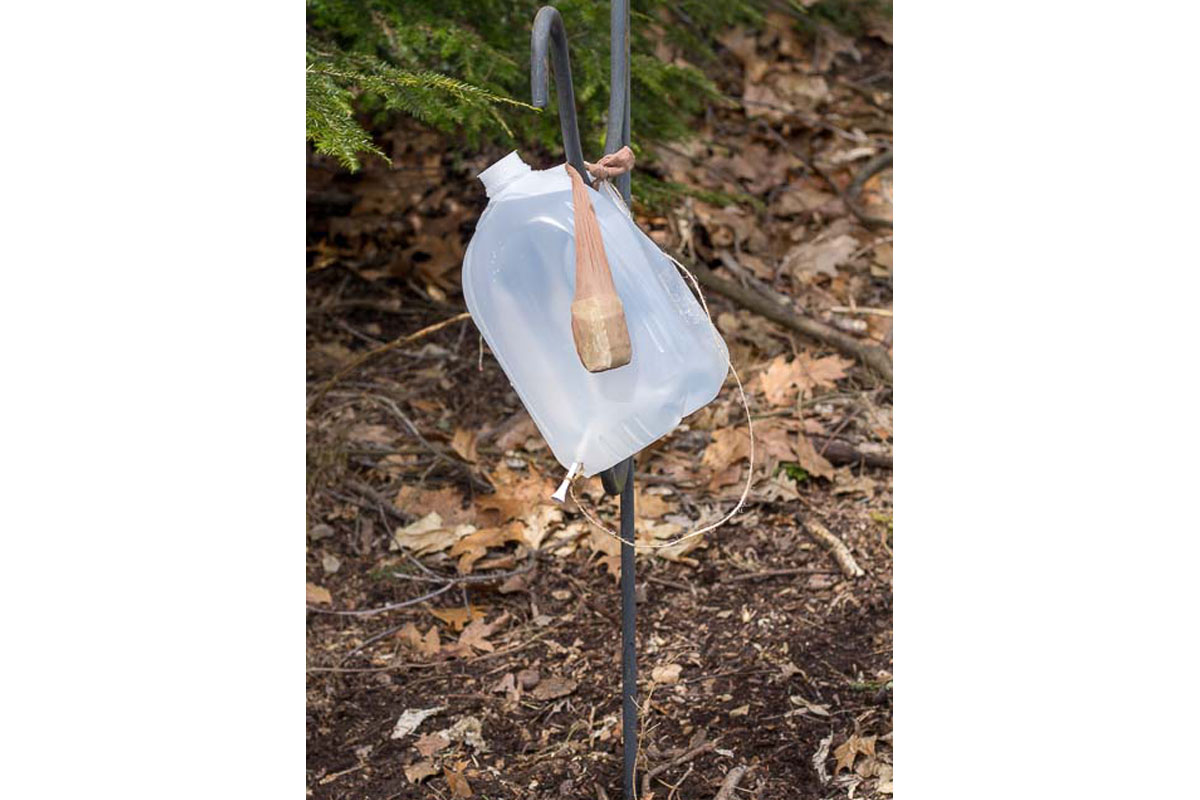plastic jug