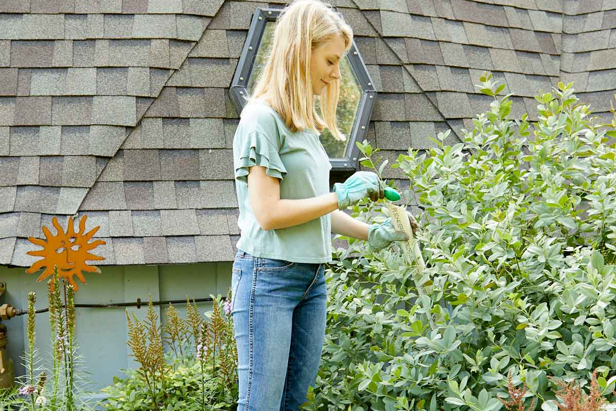 Woman Fertilizing With PVC Pipe 