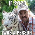 The Most Hilarious Memes Inspired By Tiger King