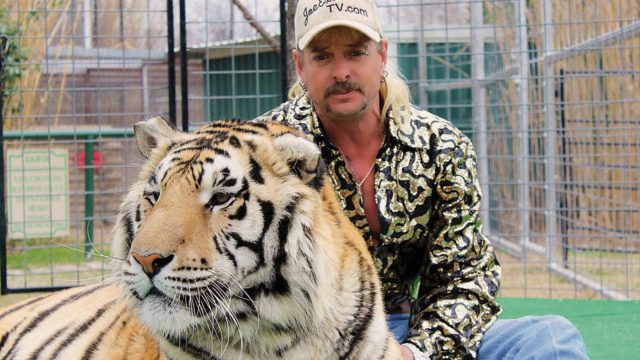 Tiger King: The Mysterious Disappearance Of Don Lewis