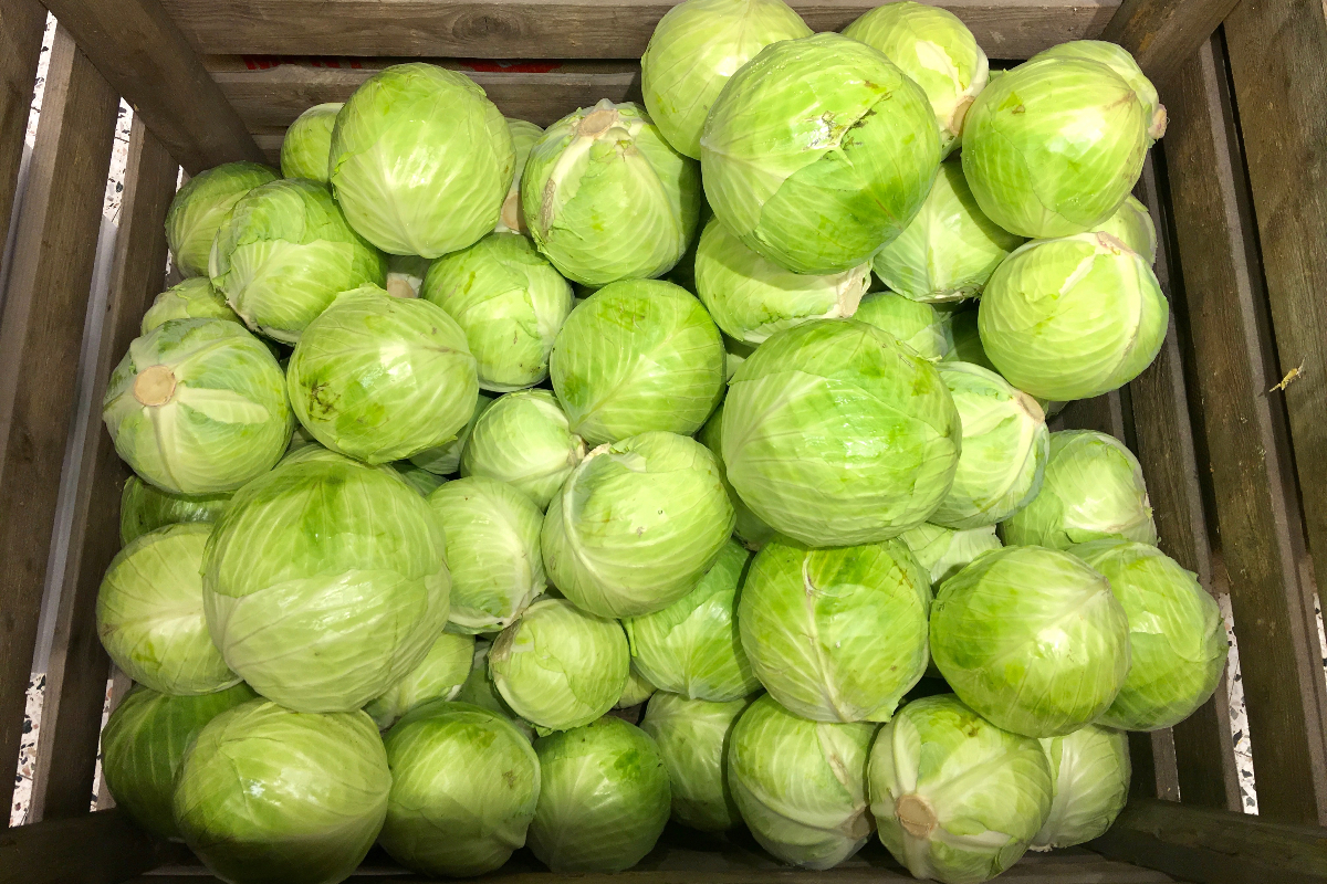 Cabbages In Crate