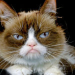 Then And Now: Our Favorite Internet Memes