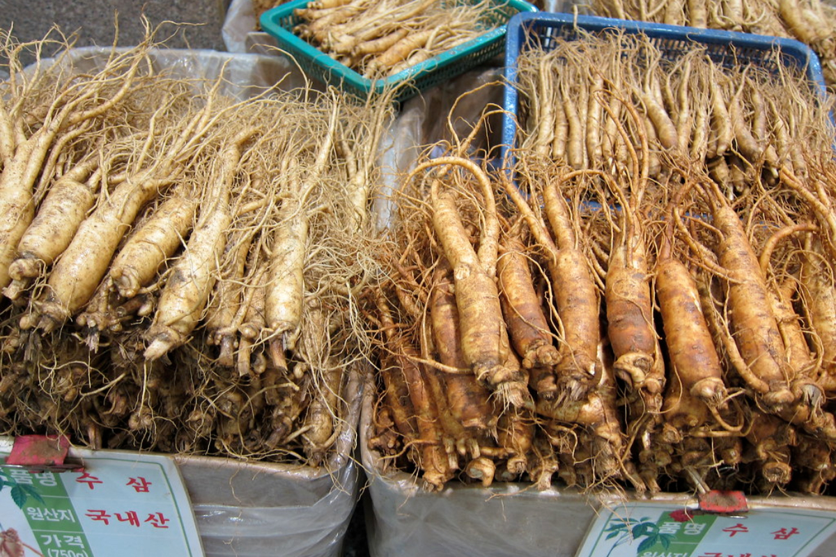 Piles of Ginseng Roots