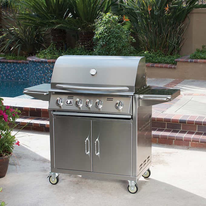 Costco grill