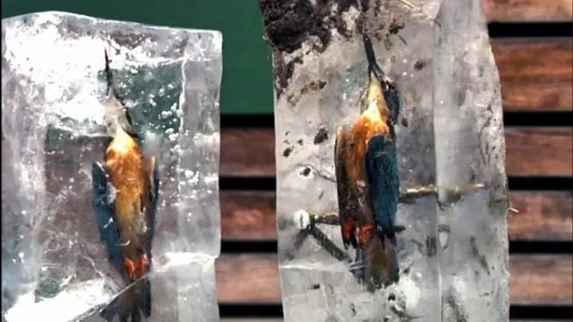 The Preservation Of History Through Nature