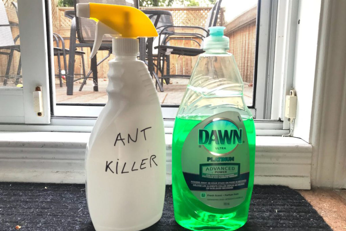 The Best Dish Soap Hacks You Need to Know About BetterBe