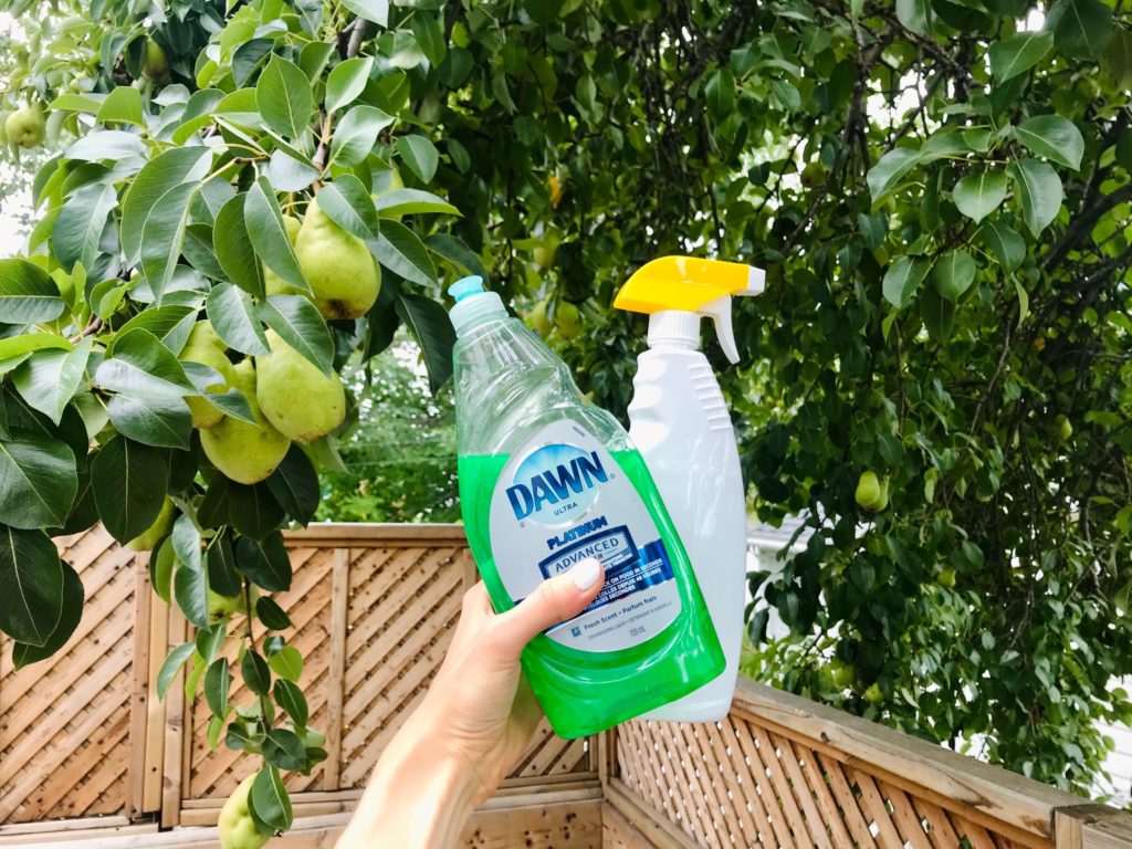 The Best Dish Soap Hacks You Need to Know About BetterBe