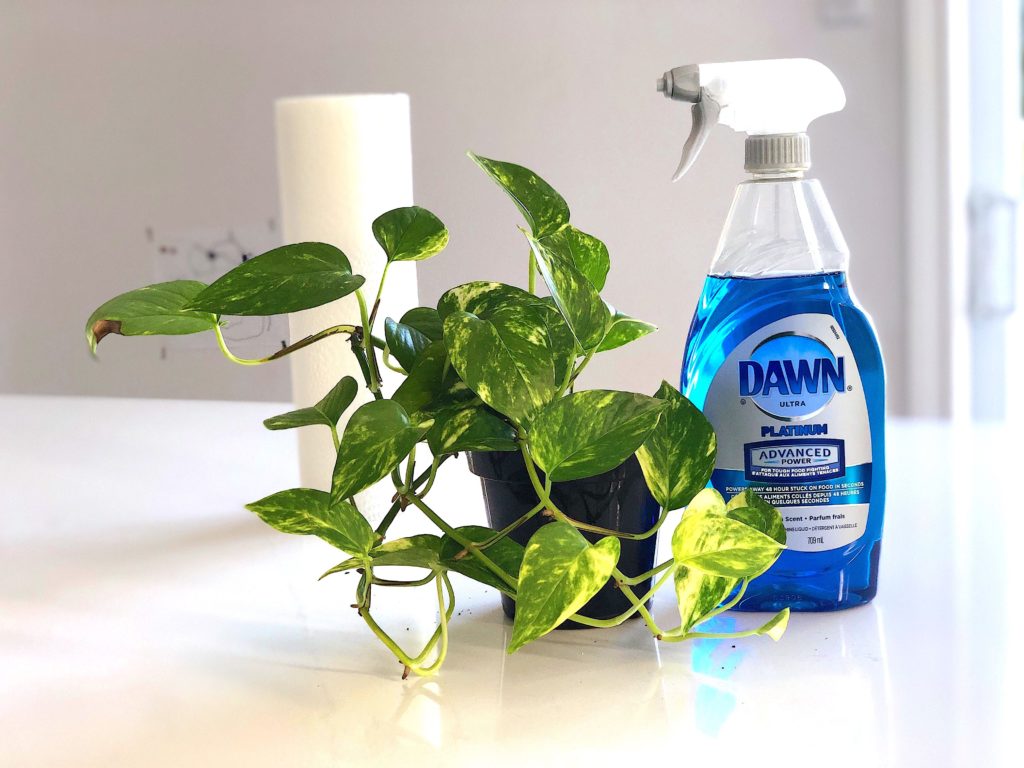 The Best Dish Soap Hacks You Need to Know About BetterBe