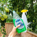 Find Out All The Things You Can Do With Dish Soap—There’s A Lot!