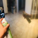Amazing Cooking Spray Hacks You Can Use In Every Room of Your Home