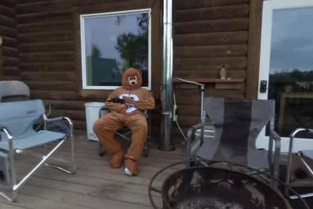bear