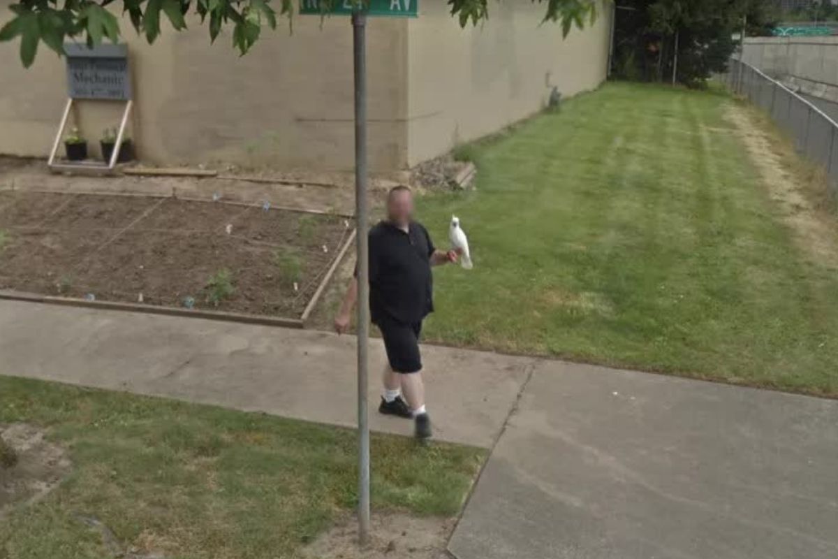 man and a bird