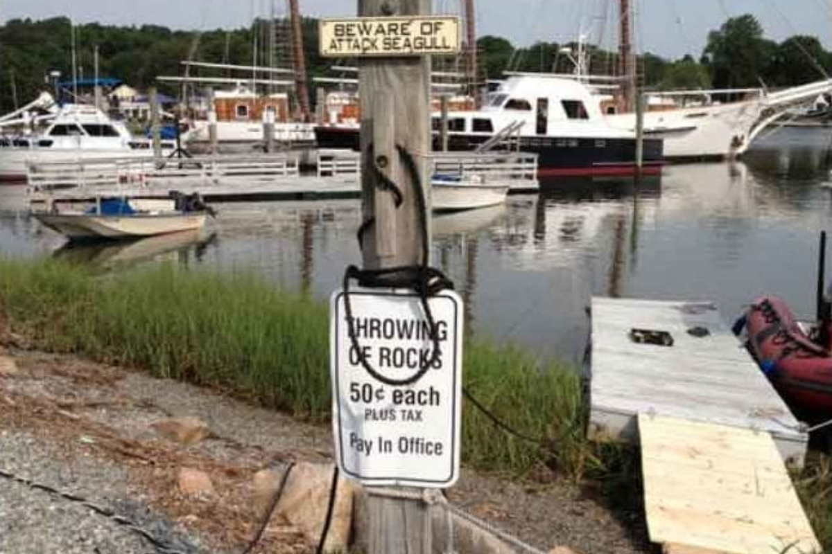 Sign Charging Kids For Throwing Rocks