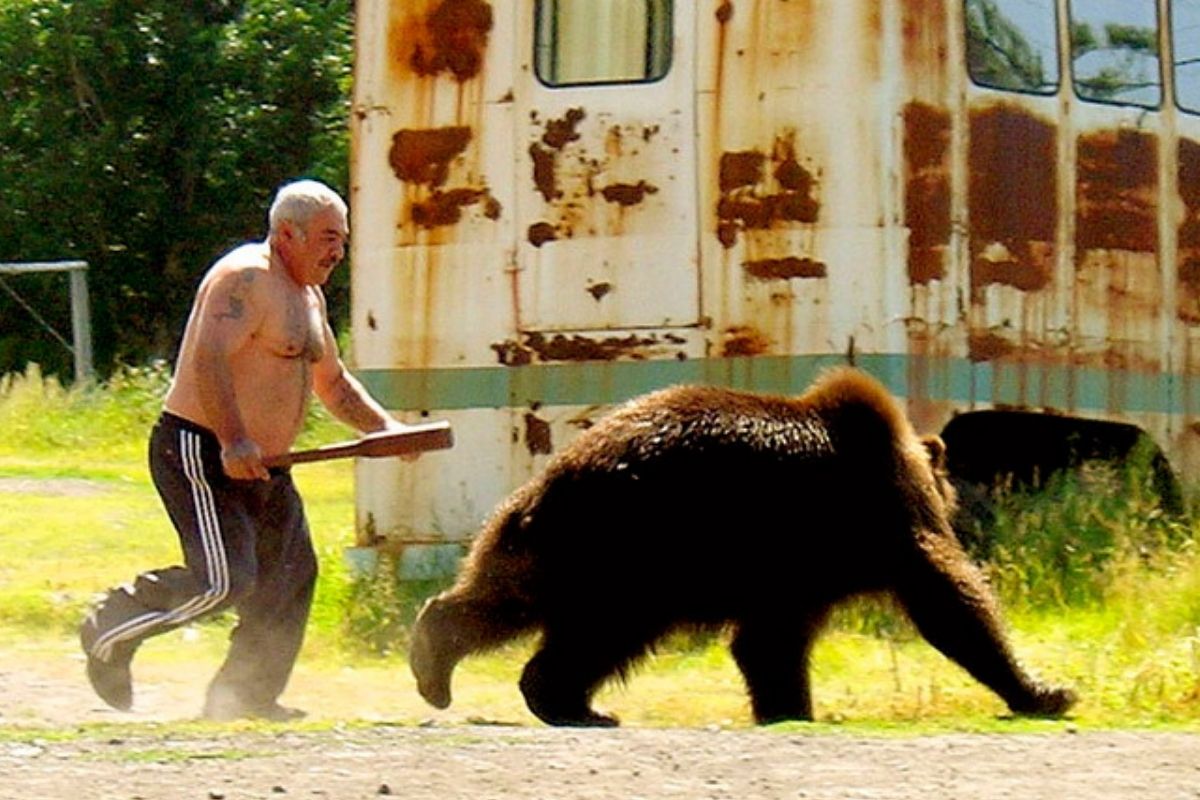 grizzly